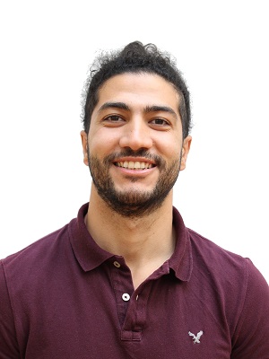 Alaa Bakry Abdelfattah